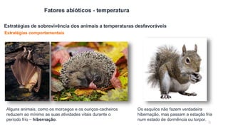 26
Fatores abióticos - temperatura
Estratégias de sobrevivência dos animais a temperaturas desfavoráveis
Estratégias compo...