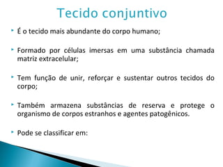  É o tecido mais abundante do corpo humano;
 Formado por células imersas em uma substância chamada
matriz extracelular;
 Tem função de unir, reforçar e sustentar outros tecidos do
corpo;
 Também armazena substâncias de reserva e protege o
organismo de corpos estranhos e agentes patogênicos.
 Pode se classificar em:
 