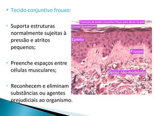  Tecido conjuntivo frouxo:
• Suporta estruturas
normalmente sujeitas à
pressão e atritos
pequenos;
• Preenche espaços entre
células musculares;
• Reconhecem e eliminam
substâncias ou agentes
prejudiciais ao organismo.
 