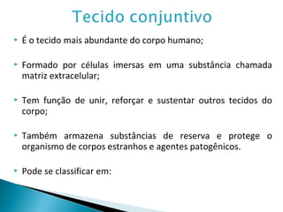  É o tecido mais abundante do corpo humano;
 Formado por células imersas em uma substância chamada
matriz extracelular;
 Tem função de unir, reforçar e sustentar outros tecidos do
corpo;
 Também armazena substâncias de reserva e protege o
organismo de corpos estranhos e agentes patogênicos.
 Pode se classificar em:
 