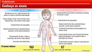 8 ano puberdade e adolescência
