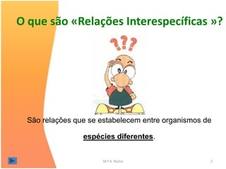 O que são «Relações Interespecíficas »?




  São relações que se estabelecem entre organismos de

                 espécies diferentes.


                       M.ª A. Rocha                 2
 