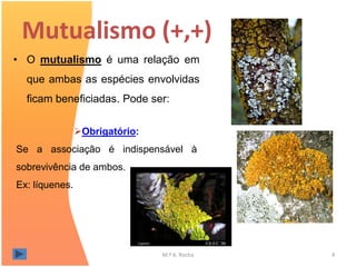 Mutualismo (+,+)
• O mutualismo é uma relação em
  que ambas as espécies envolvidas
  ficam beneficiadas. Pode ser:

                Obrigatório:
Se a associação é indispensável à
sobrevivência de ambos.
Ex: líquenes.




                                M.ª A. Rocha   4
 