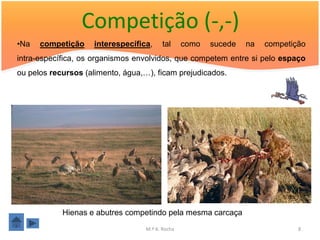 Competição (-,-)
•Na   competição    interespecífica,     tal      como   sucede   na   competição
intra-específica, os organismos envolvidos, que competem entre si pelo espaço
ou pelos recursos (alimento, água,…), ficam prejudicados.




            Hienas e abutres competindo pela mesma carcaça
                                   M.ª A. Rocha                                8
 