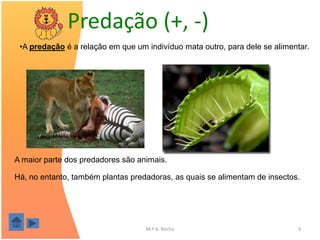 Predação (+, -)
 •A predação é a relação em que um indivíduo mata outro, para dele se alimentar.




A maior parte dos predadores são animais.

Há, no entanto, também plantas predadoras, as quais se alimentam de insectos.




                                   M.ª A. Rocha                              9
 