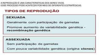 A REPRODUÇÃO É UMA CARACTERISTICAS DOS SERES VIVOS.
ESSE PROCESSO PODE ACNTECER POR MEIO DE DIFERENTES ESTRATÉGICAS.
 