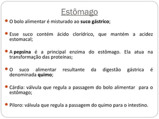Estômago
O bolo alimentar é misturado ao suco gástrico;
Esse suco contém ácido clorídrico, que mantém a acidez
estomacal;
A pepsina é a principal enzima do estômago. Ela atua na
transformação das proteínas;
O suco alimentar resultante da digestão gástrica é
denominada quimo;
Cárdia: válvula que regula a passagem do bolo alimentar para o
estômago;
Piloro: válvula que regula a passagem do quimo para o intestino.
 