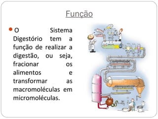 Função
O Sistema
Digestório tem a
função de realizar a
digestão, ou seja,
fracionar os
alimentos e
transformar as
macromoléculas em
micromoléculas.
 