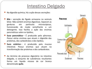 Intestino Delgado
 Na digestão química, há a ação dessas secreções:
 Bile – secreção do fígado armazena na vesícula
biliar. Não contém enzimas digestivas. Separam as
gorduras em partículas microscópicas,
funcionando de modo semelhante a um
detergente. Isso facilita a ação das enzimas
pancreáticas sobre os lipídios;
 Suco pancreático – É produzido pelo pâncreas.
Possui várias enzimas que atuam n digestão das
proteínas, dos carboidratos e dos lipídios;
 Suco entérico – é produzido pela mucosa
intestinal. Possui enzimas que atuam na
transformação das proteínas e dos carboidratos.
 Ao término do processo digestório no intestino
delgado, o conjunto de substâncias resultantes
forma um líquido viscoso de cor branca
denominado quilo.
 