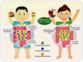 8 ano sistema digestório
