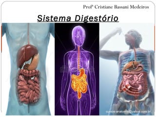 Profª Cristiane Bassani Medeiros
Sistema Digestório
 