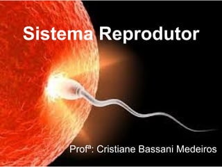 Sistema Reprodutor
Profª: Cristiane Bassani Medeiros
 