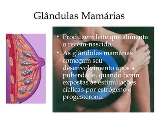 Glândulas Mamárias
• Produzem leite que alimenta
o recém-nascido;
• As glândulas mamárias
começam seu
desenvolvimento após a
puberdade, quando ficam
expostas às estimulações
cíclicas por estrógeno e
progesterona.
 
