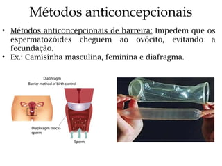 Métodos anticoncepcionais
• Métodos anticoncepcionais de barreira: Impedem que os
espermatozóides cheguem ao ovócito, evitando a
fecundação.
• Ex.: Camisinha masculina, feminina e diafragma.
 