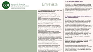 Entrevista