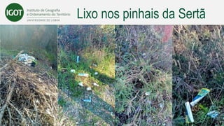 Lixo nos pinhais da Sertã