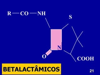 21
21
O
NH
CO
S
COOH
N
R
BETALACTÂMICOS
BETALACTÂMICOS
 