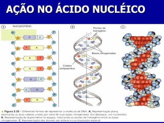 62
62
AÇÃO NO ÁCIDO NUCLÉICO
AÇÃO NO ÁCIDO NUCLÉICO
 