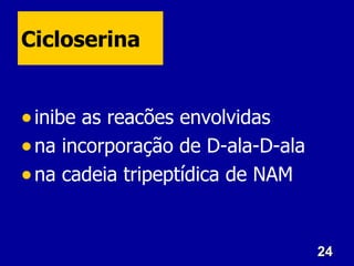 Cicloserina


• inibe as reacões envolvidas
• na incorporação de D-ala-D-ala
• na cadeia tripeptídica de NAM


                                   24
 