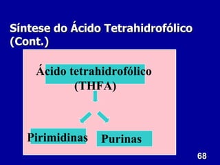 Síntese do Ácido Tetrahidrofólico
(Cont.)

    Ácido tetrahidrofólico
           (THFA)



   Pirimidinas   Purinas
                                    68
 