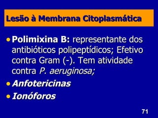 Lesão à Membrana Citoplasmática

• Polimixina B: representante dos
  antibióticos polipeptídicos; Efetivo
  contra Gram (-). Tem atividade
  contra P. aeruginosa;
• Anfotericinas
• Ionóforos
                                     71
 