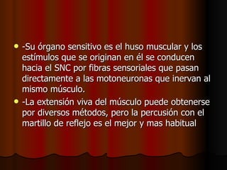 -Su órgano sensitivo es el huso muscular y los estímulos que se originan en él se conducen hacia el SNC por fibras sensoriales que pasan directamente a las motoneuronas que inervan al mismo músculo.  -La extensión viva del músculo puede obtenerse por diversos métodos, pero la percusión con el martillo de reflejo es el mejor y mas habitual 
