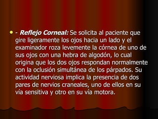 -  Reflejo Corneal:  Se solicita al paciente que gire ligeramente los ojos hacia un lado y el examinador roza levemente la córnea de uno de sus ojos con una hebra de algodón, lo cual origina que los dos ojos respondan normalmente con la oclusión simultánea de los párpados. Su actividad nerviosa implica la presencia de dos pares de nervios craneales, uno de ellos en su vía sensitiva y otro en su vía motora.  