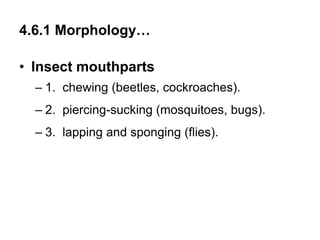 4.6.1 Morphology…
• Insect mouthparts
– 1. chewing (beetles, cockroaches).
– 2. piercing-sucking (mosquitoes, bugs).
– 3. lapping and sponging (flies).
 