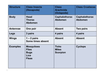 Structure Class Insecta
(Hexapoda)
Class
Arachnida
(Octapoda)
Class Crustacea
Body Head
Thorax
Abdomen
Cephalothorax
Abdomen
Cephalothorax
Abdomen
Antennae One pair Absent Two pairs
Legs 3 pairs 4 pairs 4 pairs
Wings 1 – 2 pairs
Some times absent
Absent Absent
Examples Mosquitoes
Flies
Bugs
Lice
Fleas
Ticks
Mites
Scorpion
Cyclops
58
 