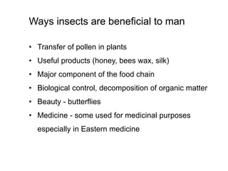 Ways insects are beneficial to man
• Transfer of pollen in plants
• Useful products (honey, bees wax, silk)
• Major component of the food chain
• Biological control, decomposition of organic matter
• Beauty - butterflies
• Medicine - some used for medicinal purposes
especially in Eastern medicine
 