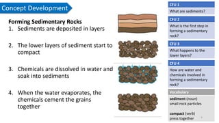 8a Sedimentary Rocks (3).pptx