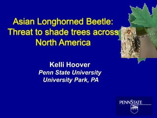 Asian Longhorned Beetle:
Threat to shade trees across
North America
Kelli Hoover
Penn State University
University Park, PA

 