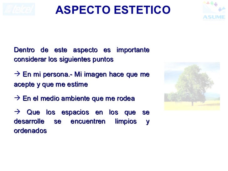 8 aspectos