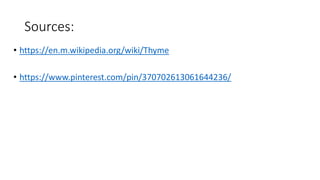 Sources:
• https://en.m.wikipedia.org/wiki/Thyme
• https://www.pinterest.com/pin/370702613061644236/