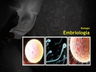 Biologia
Embriologia
 