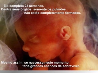 Ele completa 24 semanas.Ele completa 24 semanas.
Dentre seus órgãos, somente os pulmõesDentre seus órgãos, somente os pulmões
não estão completamente formados.não estão completamente formados.
Mesmo assim, se nascesse neste momento,Mesmo assim, se nascesse neste momento,
teria grandes chances de sobreviver.teria grandes chances de sobreviver.
 