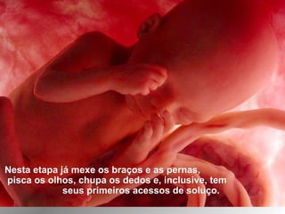Nesta etapa já mexe os braços e as pernas,Nesta etapa já mexe os braços e as pernas,
pisca os olhos, chupa os dedos e, inclusive, tempisca os olhos, chupa os dedos e, inclusive, tem
seus primeiros acessos de soluço.seus primeiros acessos de soluço.
 