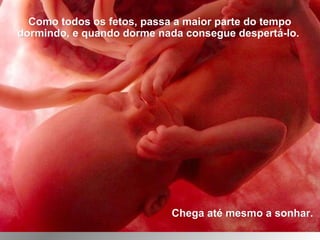 Como todos os fetos, passa a maior parte do tempoComo todos os fetos, passa a maior parte do tempo
dormindo, e quando dorme nada consegue despertá-lo.dormindo, e quando dorme nada consegue despertá-lo.
Chega até mesmo a sonhar.Chega até mesmo a sonhar.
 