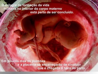 O milagre da formação da vidaO milagre da formação da vida
humana no interior do corpo maternohumana no interior do corpo materno
está perto de ser concluído.está perto de ser concluído.
Em poucos dias os pulmõesEm poucos dias os pulmões
e a placenta se encarregarão de sinalizare a placenta se encarregarão de sinalizar
que é chegada a hora do parto.que é chegada a hora do parto.
 