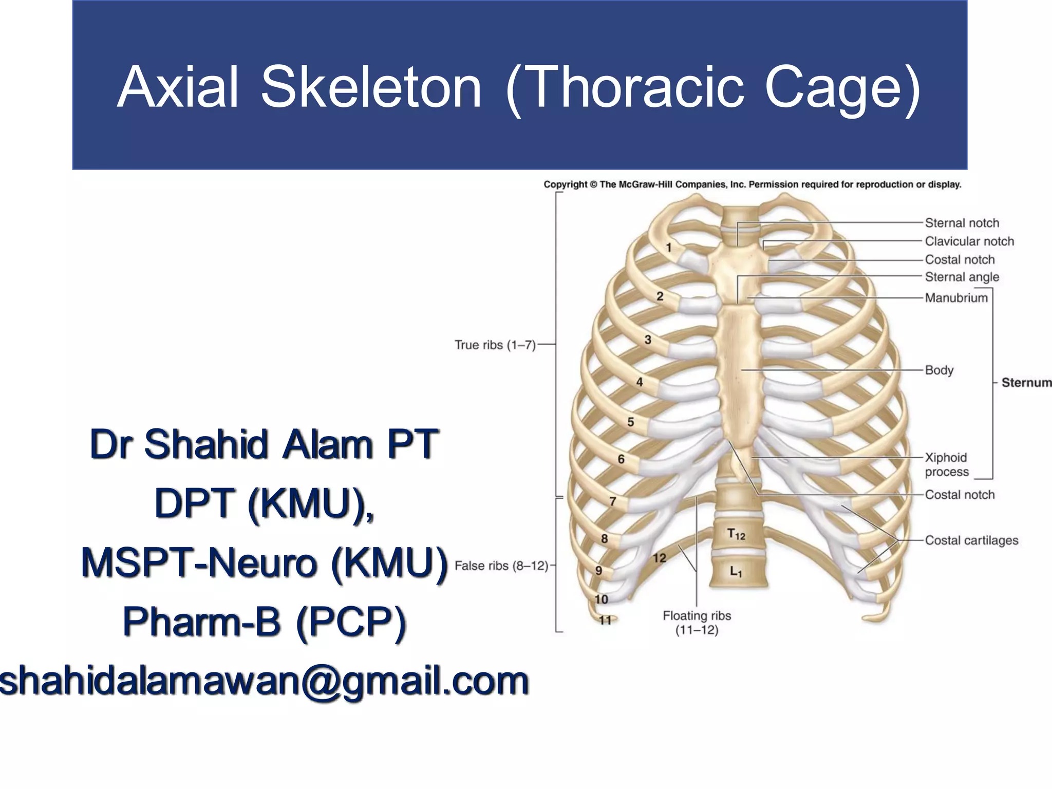 Surface Anatomy Of Ribs Lab 2 Pre Lab Exercise Thoracic Cage Thoracic
