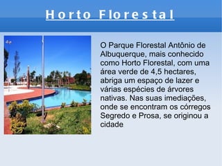 Horto Florestal O Parque Florestal Antônio de Albuquerque, mais conhecido como Horto Florestal, com uma área verde de 4,5 hectares, abriga um espaço de lazer e várias espécies de árvores nativas. Nas suas imediações, onde se encontram os córregos Segredo e Prosa, se originou a cidade . 