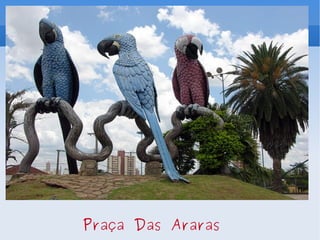 Praça Das Araras 