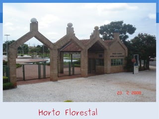 Horto Florestal 