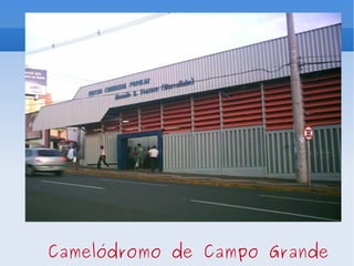 Camelódromo de Campo Grande 