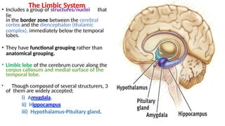 Membrane Cortex Complex 8B. Brain Structurers-.pptxeybb of the same as resting membrane ...