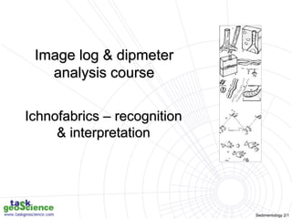 Sedimentology 2/1
Image log & dipmeter
analysis course
Ichnofabrics – recognition
& interpretation
 