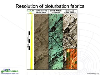 Sedimentology 2/12
Resolution of bioturbation fabrics
 
