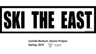 Camille Bartsch, Senior Project
Spring, 2016
 