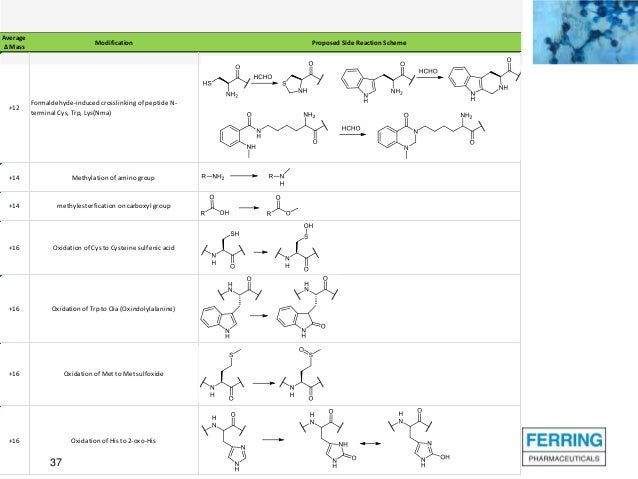 Peptide Side Reaction