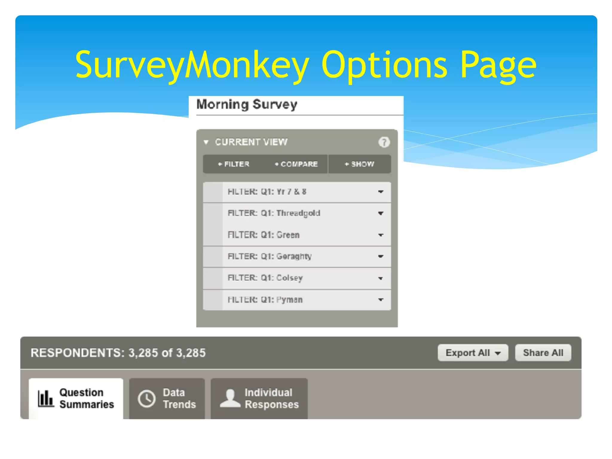 SurveyMonkey Options Page
 